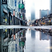 Siéntate en un charco: un mundo de reflejos asombrosos