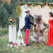 Sin miedo amor: la ceremonia de la boda en la más extrema y lugares insólitos.