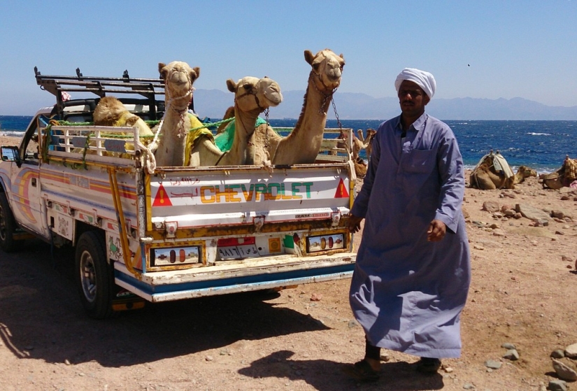 Sinai syndrome - Dahab, an amazing place for wintering