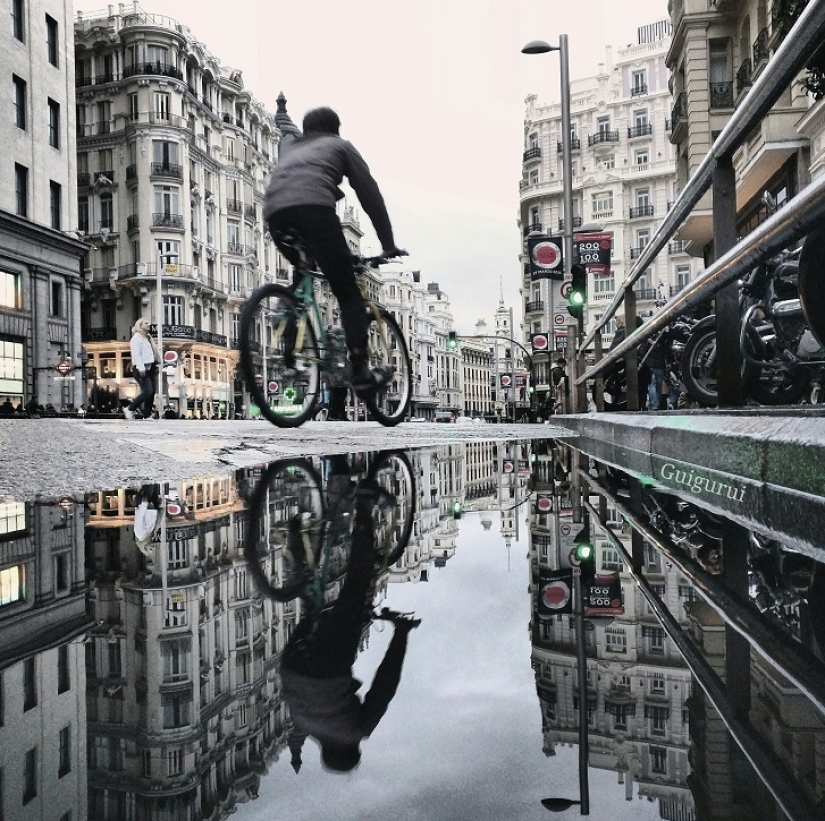 Sit in a puddle: a world of amazing reflections