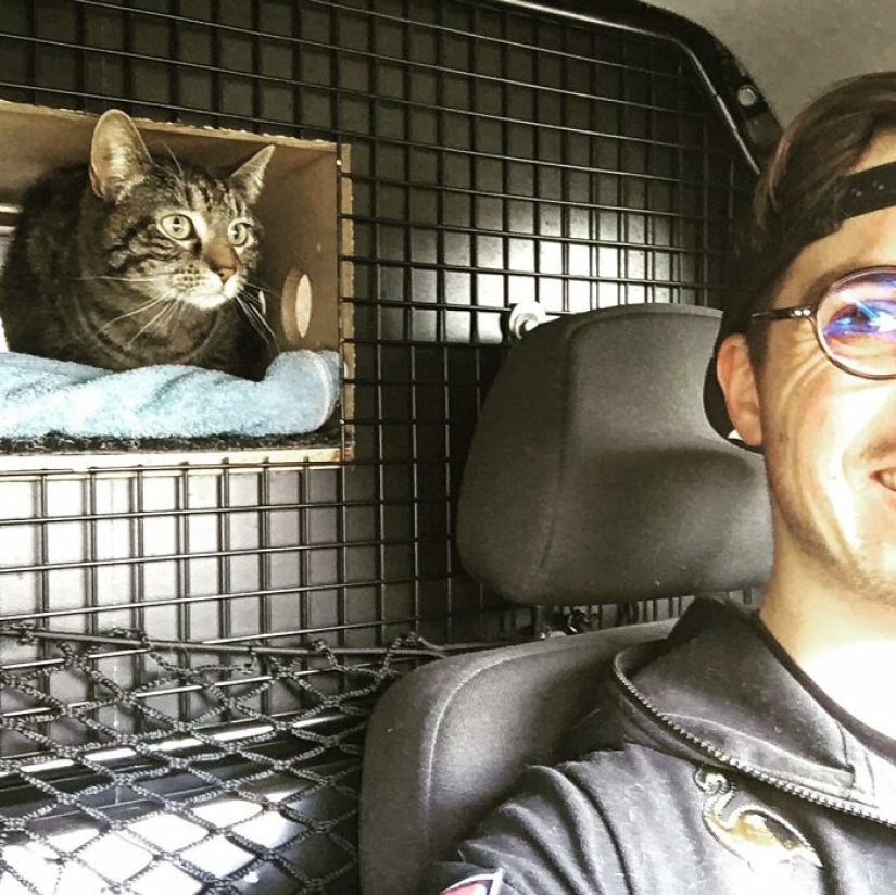 Skiing, surfing, parachuting: the cat from Instagram lives a hundred times more interesting than you