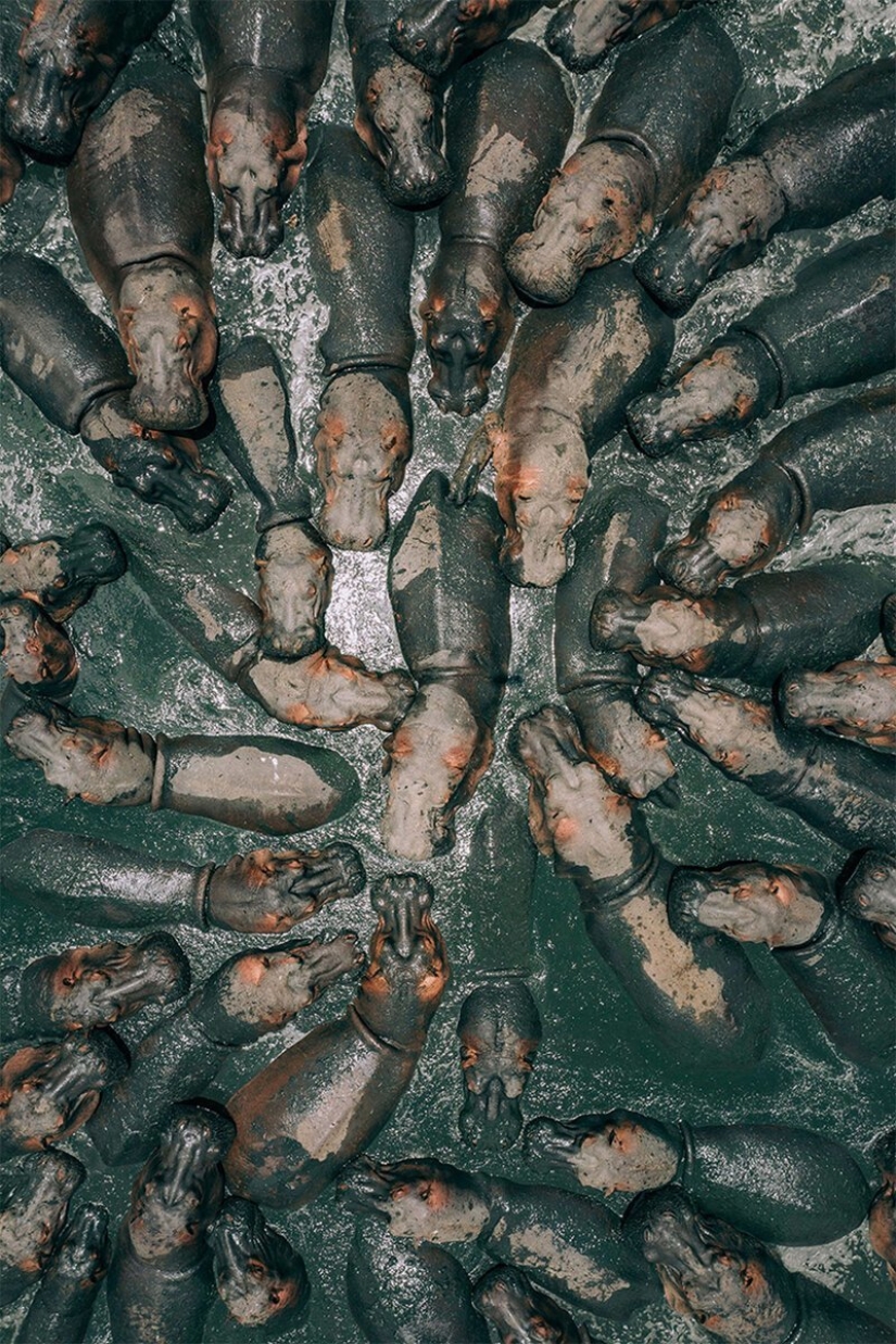 SkyPixel Winners Announced: the best photos taken by drones