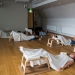 Sleep in the middle of the working day and a sleep instructor: how to work in Finnish offices