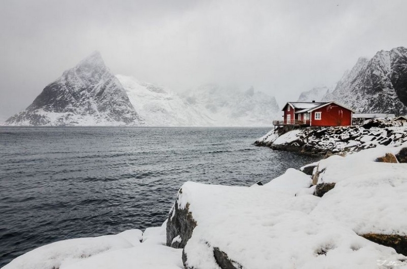 Small lonely houses for lonely people