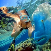 Síndrome del Sinaí - Dahab, un lugar increíble para invernar