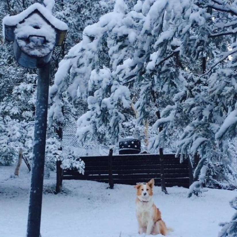 Snow and frost in Australia - miracles and more!