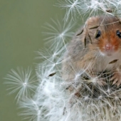 Sony World Photography Awards Finalists named: Best Photos of 2018