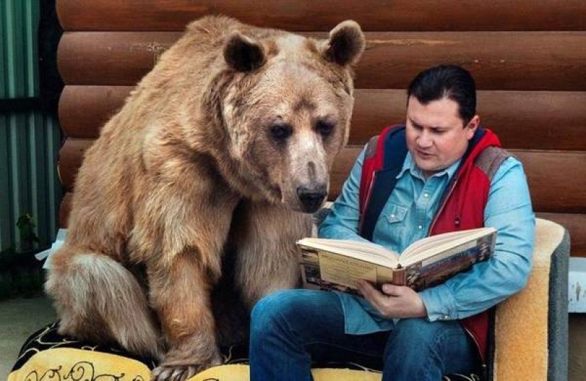 Stepan the Bear is the living embodiment of stereotypes about Russia
