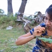 "Subscribe to the channel! Click on the bell!": a Cambodian woman ate rare animals on camera for the sake of earning money on YouTube