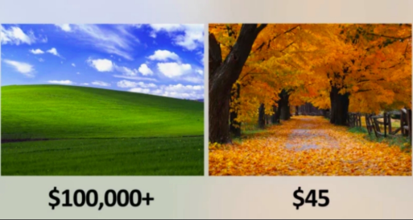 Such different wallpapers: Microsoft paid 100 thousand for "Serenity" and 45 dollars for "Autumn"