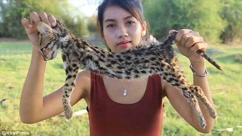 "Suscríbete al canal! Haga clic en la campana!": una mujer camboyana comió animales raros en cámara para ganar dinero en YouTube