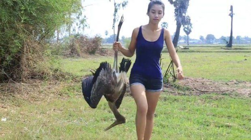 "Suscríbete al canal! Haga clic en la campana!": una mujer camboyana comió animales raros en cámara para ganar dinero en YouTube