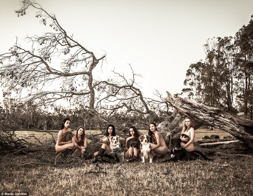 Sydney University students undressed for charity calendar