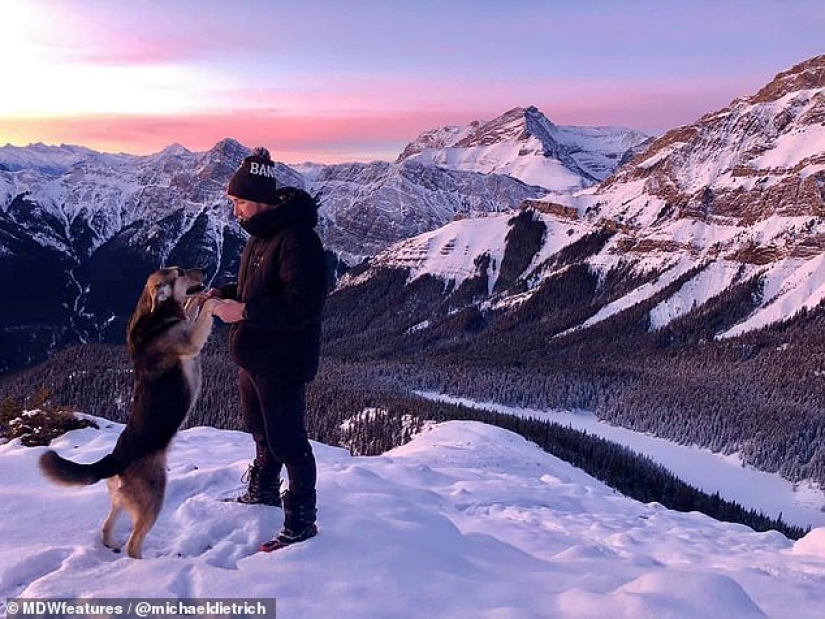 Take a friend to the mountains, take a chance: an avid traveler and his faithful dog in search of adventure