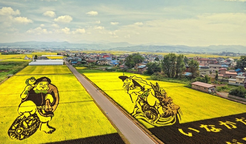 Tambo Art-pinturas increíbles en los campos de arroz de Japón