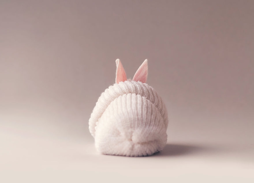 Tenga cuidado, la brecha mimeter: una sesión de fotos de un conejo recién nacido