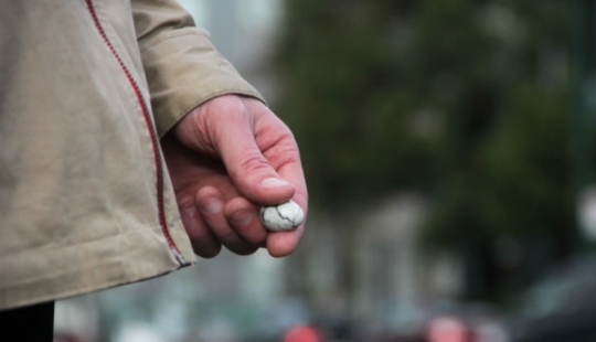 Terebi eggs: Canadians have come up with a "device" to calm down