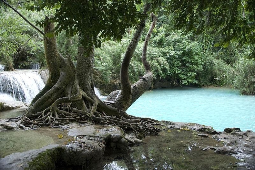 The 10 most beautiful natural pools in the world