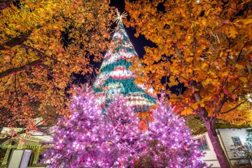 The 10 U.S. Cities with the Best Christmas Light Displays