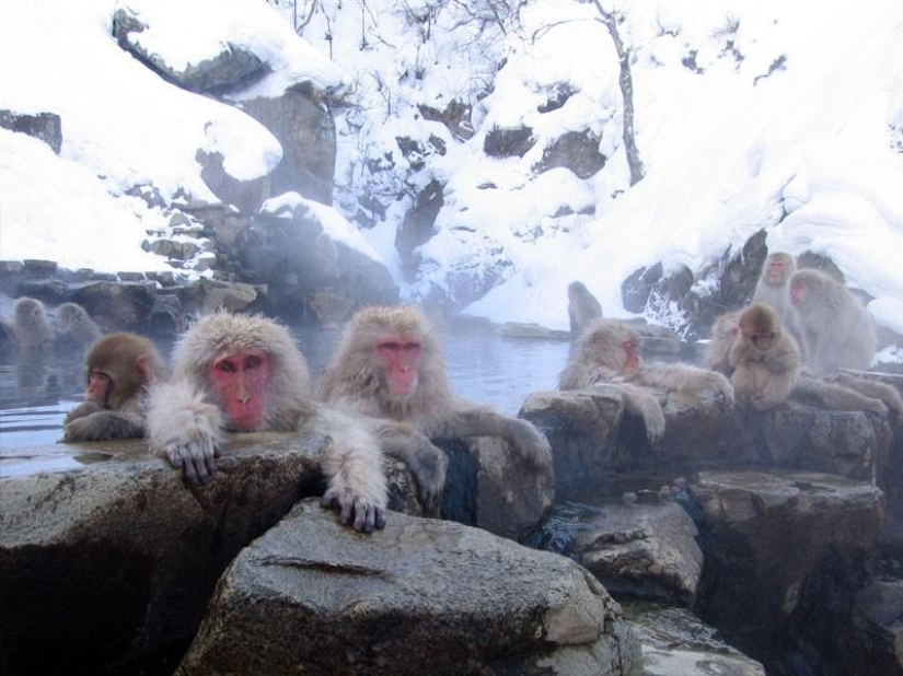 The 20 best hot springs from around the world
