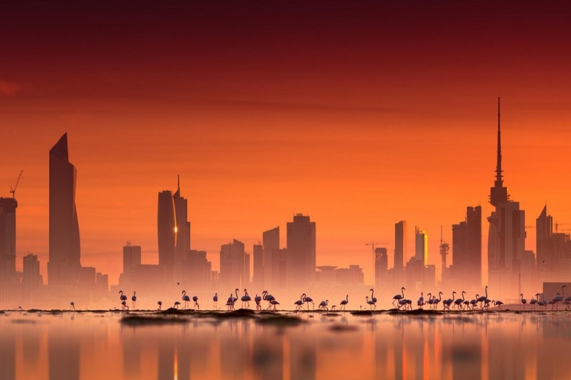 The 20 best pictures taken at dawn