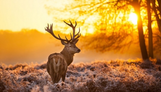 The 20 best pictures taken at dawn