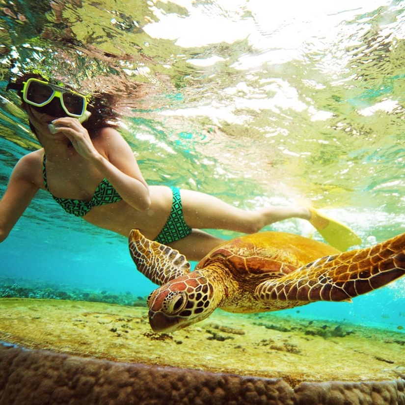 The 25 best places to snorkel