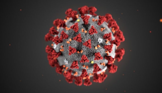 The 5 craziest theories of the appearance of the coronavirus