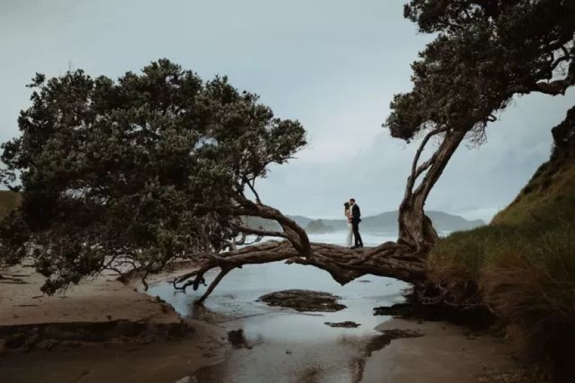 The 50 best wedding photos of 2018 have been announced