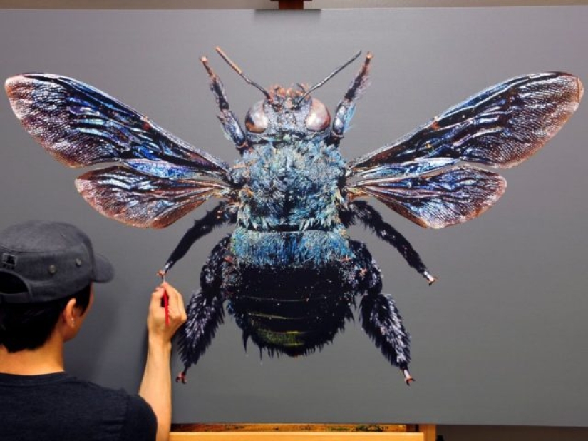The artist's paintings are so detailed that they look like real ones.