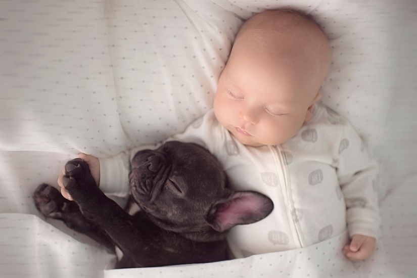The baby and the puppy were born on the same day and now they think they are brothers