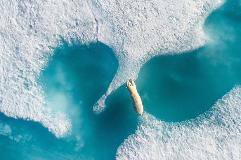 The best drone photos of 2017 have been announced