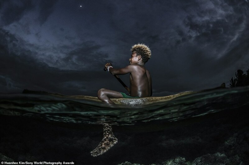 The best pictures from the Sony World Photography Award 2020