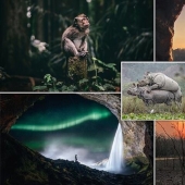 The best pictures from the Sony World Photography Award 2020