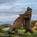 The Best Shots of the Wildlife Photography Contest Finalists