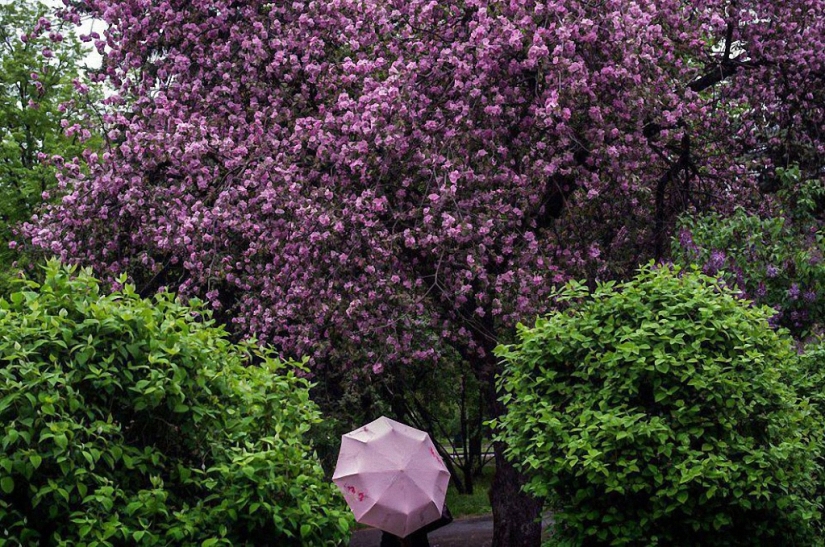 The best street photos from Eastern Europe