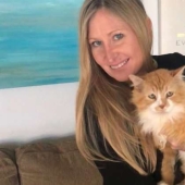 The cat walked 20 km to find his owners, but they decided to put him to sleep