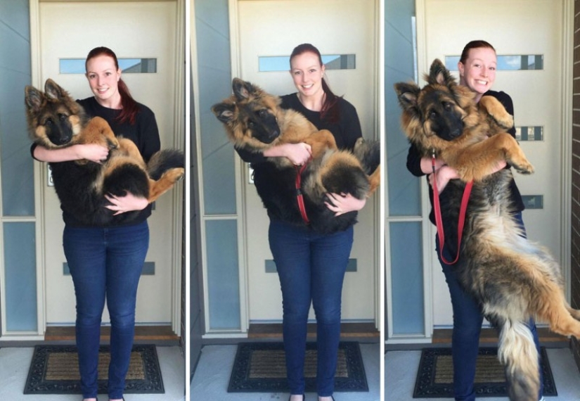 The couple documented how quickly their dog grew up