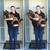 The couple documented how quickly their dog grew up