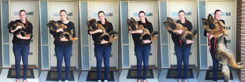 The couple documented how quickly their dog grew up
