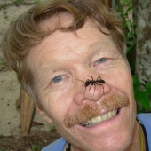 The entomologist experienced the most painful insect bites and compiled a pain scale