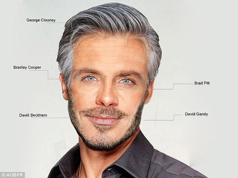 The face of the ideal man, made up of parts of the faces of famous Hollywood beauties