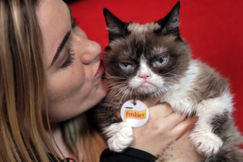 The favorite of millions, the cat Grumpy, has died