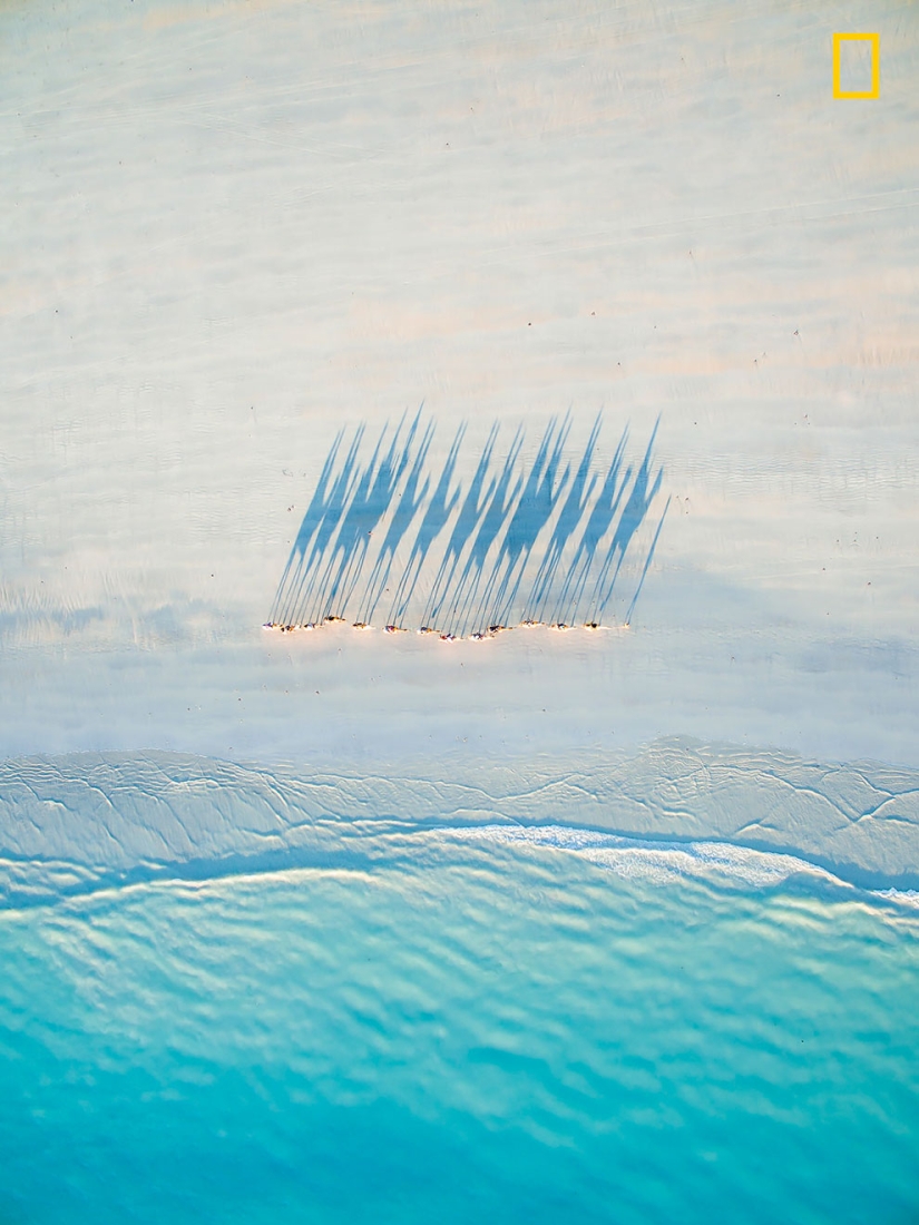 The first works of the National Geographic Nature Photographer Of The Year photo contest have been published