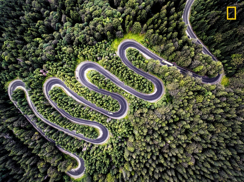 The first works of the National Geographic Nature Photographer Of The Year photo contest have been published