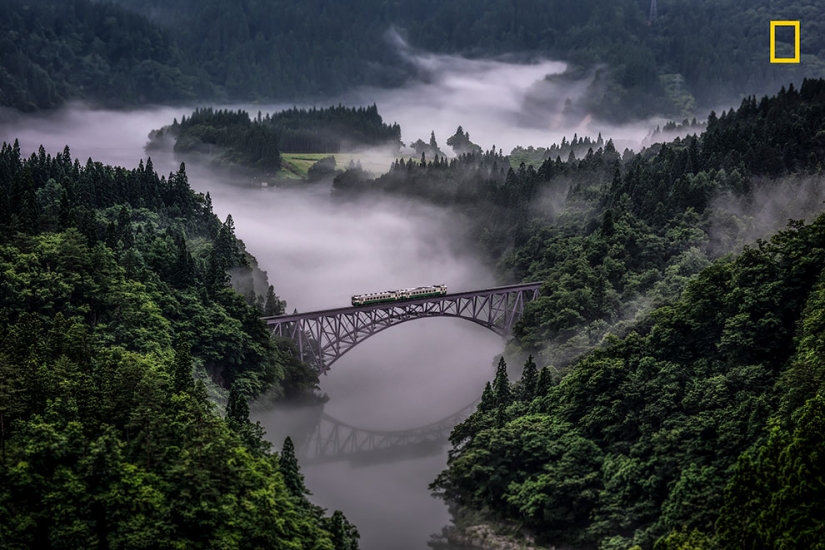 The first works of the National Geographic Nature Photographer Of The Year photo contest have been published