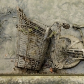 The French drained one of the Parisian canals and found whole treasures at the bottom