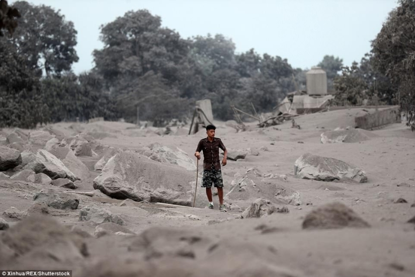 The Fuego volcano in Guatemala killed 69 people in a day. The death toll is growing