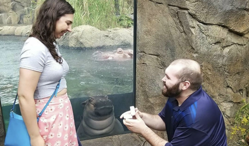 The hippo girl was offended that the marriage proposal was not made to her