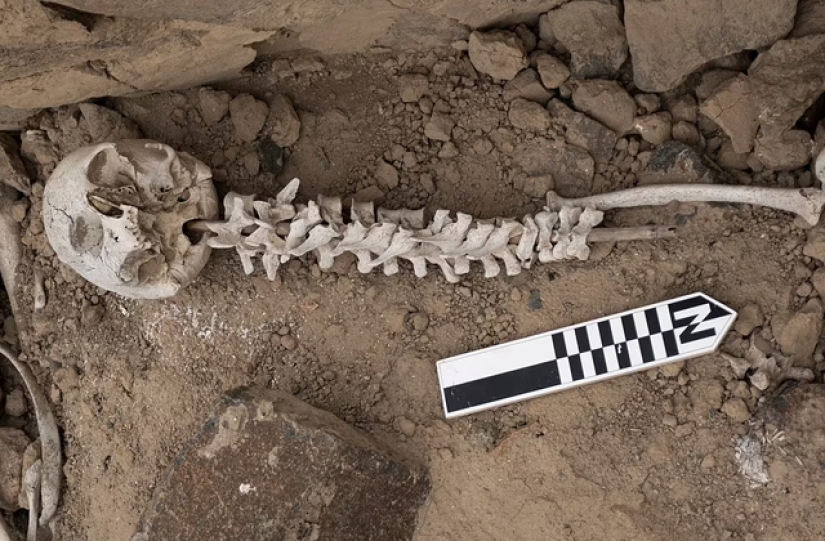 The installations of human spines found in Peru amazed archaeologists